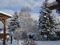 winter-250x188.jpg